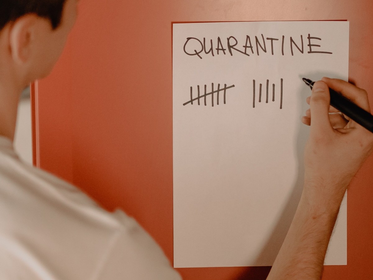 A Look at Social Media during the COVID-19&nbsp;Quarantine