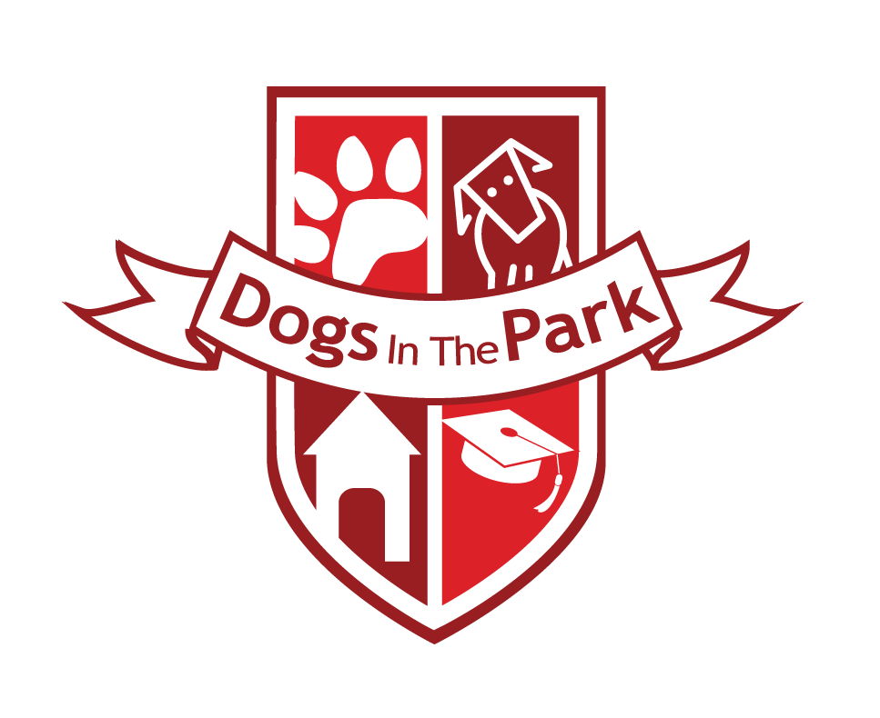 Dogs In The&nbsp;Park